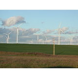  Call to end wind farms until power solution found